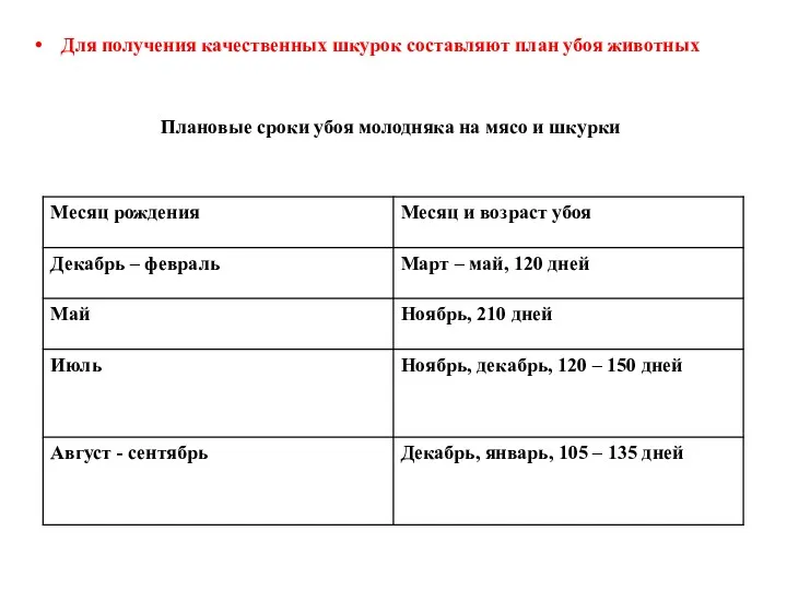 Для получения качественных шкурок составляют план убоя животных Плановые сроки убоя молодняка на мясо и шкурки