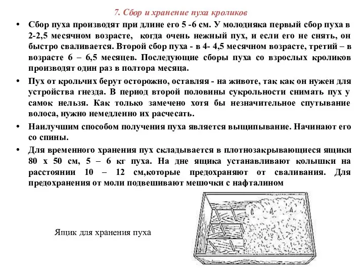 7. Сбор и хранение пуха кроликов Сбор пуха производят при