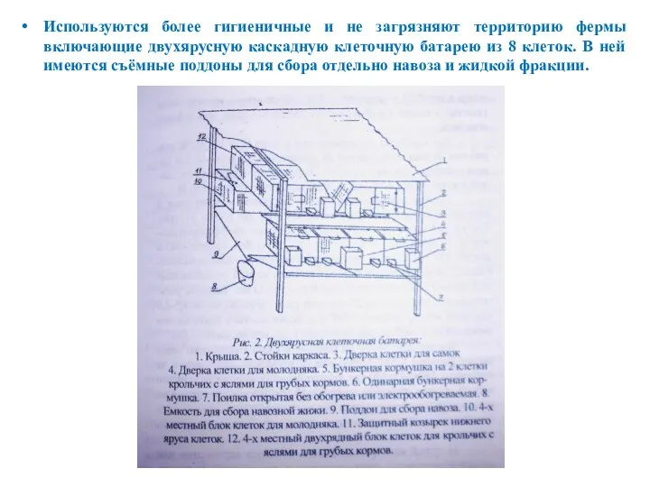 Используются более гигиеничные и не загрязняют территорию фермы включающие двухярусную