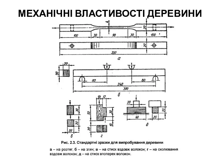 МЕХАНІЧНІ ВЛАСТИВОСТІ ДЕРЕВИНИ