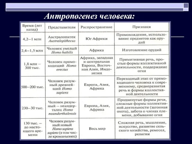 Антропогенез человека: