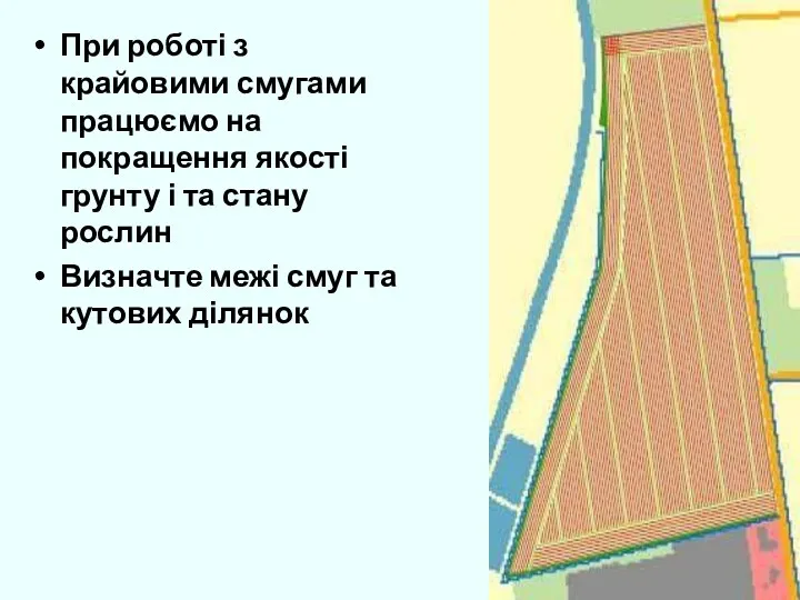 При роботі з крайовими смугами працюємо на покращення якості грунту і та стану