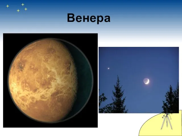 Венера