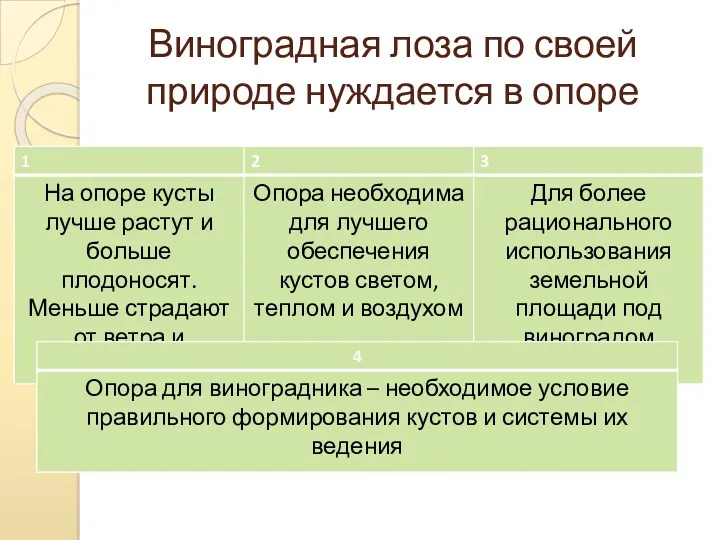 Виноградная лоза по своей природе нуждается в опоре