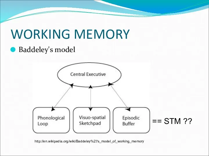 WORKING MEMORY Baddeley's model http://en.wikipedia.org/wiki/Baddeley%27s_model_of_working_memory == STM ??