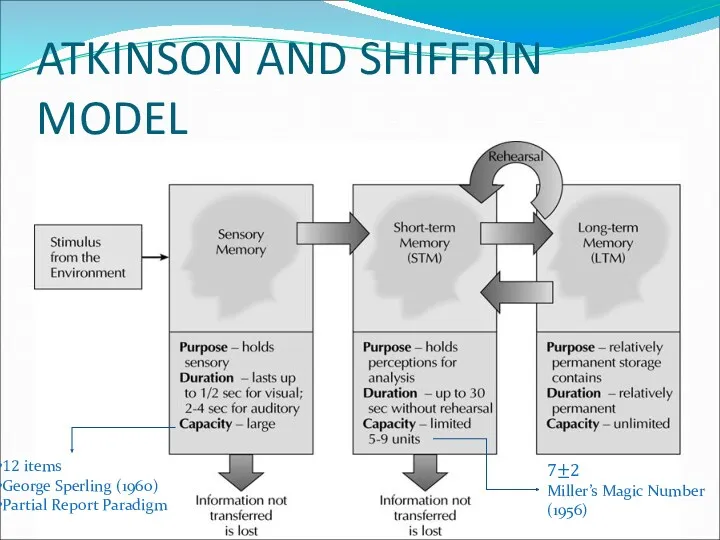 ATKINSON AND SHIFFRIN MODEL 12 items George Sperling (1960) Partial