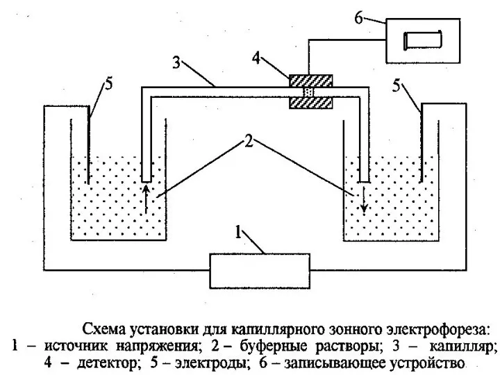 МККОС. Л.К. 6. Попова Людмила Федоровна