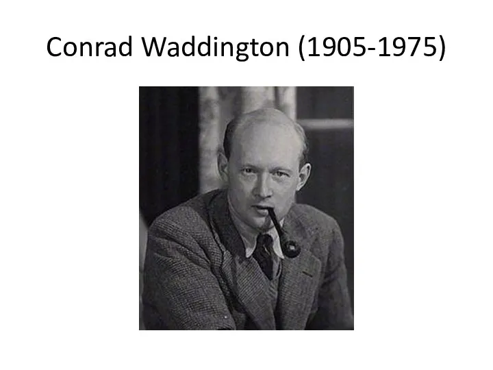 Conrad Waddington (1905-1975)