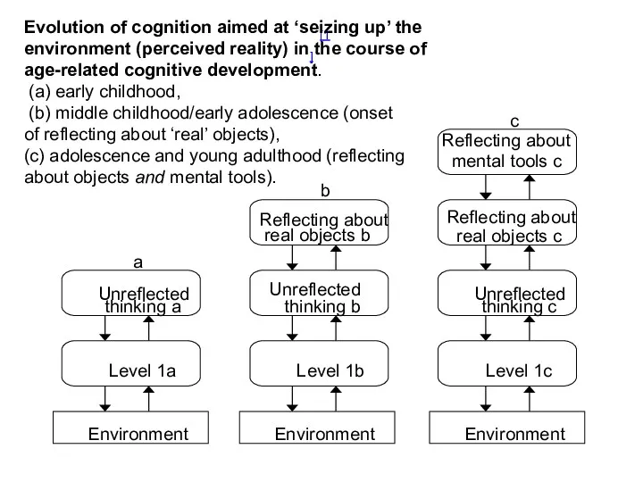 [1] Evolution of cognition aimed at ‘seizing up’ the environment
