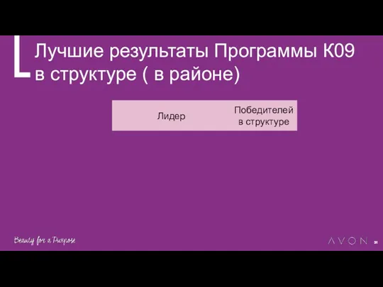 Лучшие результаты Программы К09 в структуре ( в районе)