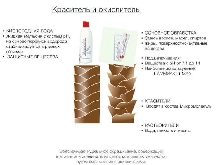 Краситель и окислитель ОСНОВНОЕ ОБРАБОТКА Смесь восков, масел, спиртов жиры,