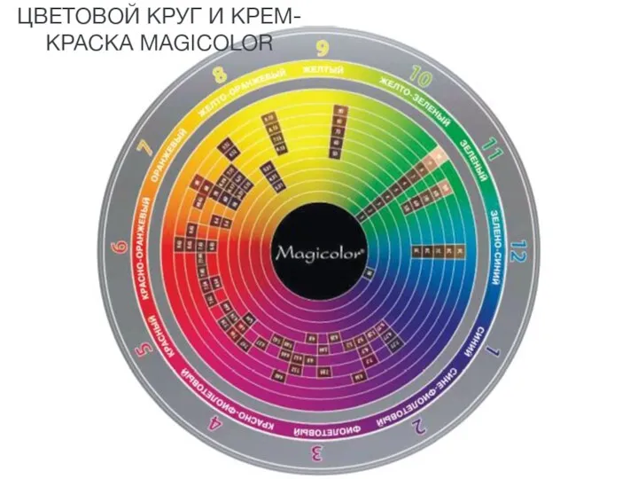 ЦВЕТОВОЙ КРУГ И КРЕМ-КРАСКА MAGICOLOR