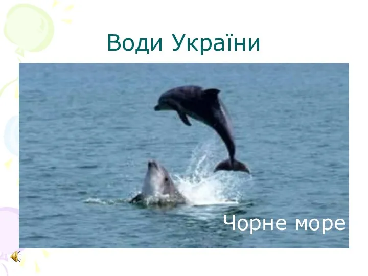 Води України Чорне море