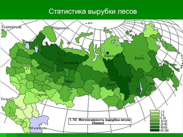 Статистика вырубки лесов