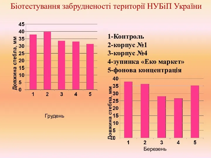 Біотестування забрудненості території НУБіП України Грудень Березень 1-Контроль 2-корпус №1