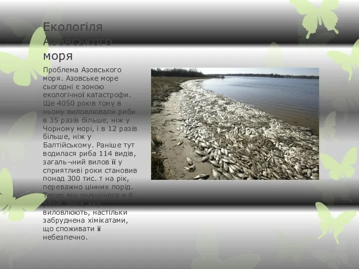 Екологіля Азовського моря Проблема Азовського моря. Азовське море сьогодні є