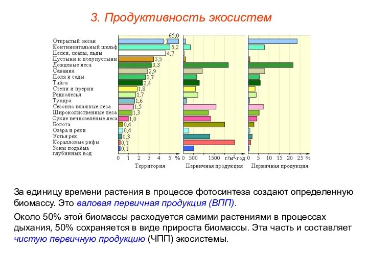 3. Продуктивность экосистем За единицу времени растения в процессе фотосинтеза