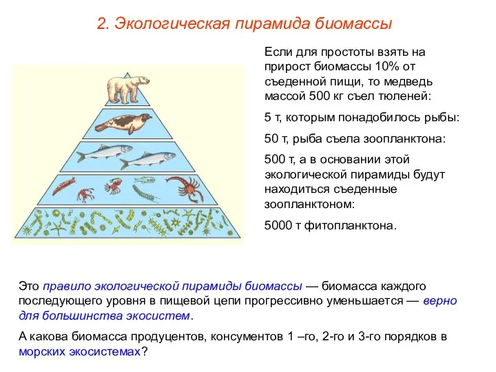 2. Экологическая пирамида биомассы Если для простоты взять на прирост