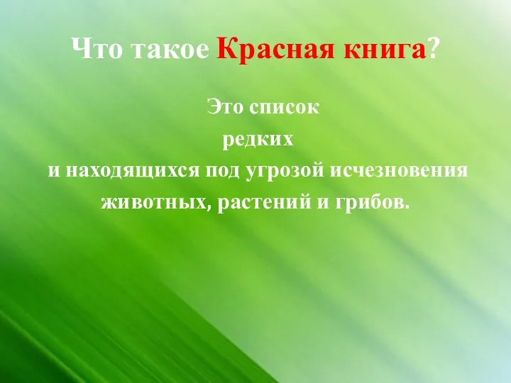 Что такое Красная книга? Это список редких и находящихся под угрозой исчезновения животных, растений и грибов.