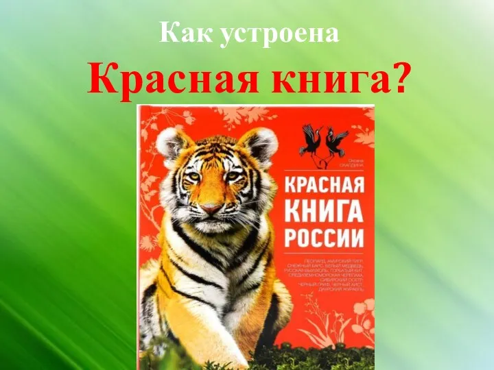 Как устроена Красная книга?