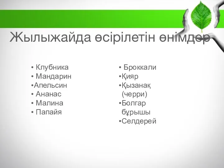 Жылыжайда өсірілетін өнімдер Клубника Мандарин Апельсин Ананас Малина Папайя Броккали Қияр Қызанақ (черри) Болгар бұрышы Селдерей