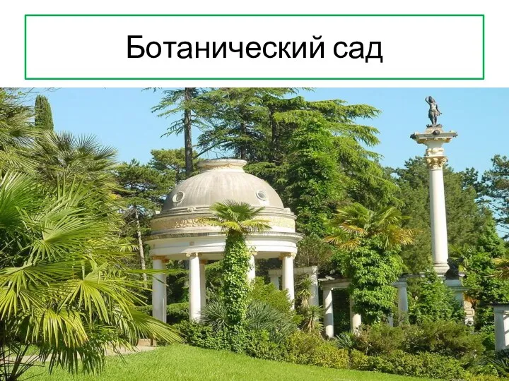 Ботанический сад