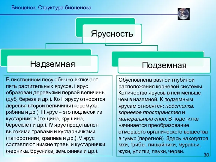 Биоценоз. Структура биоценоза В лиственном лесу обычно включает пять растительных