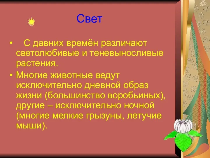 С давних времён различают светолюбивые и теневыносливые растения. Многие животные