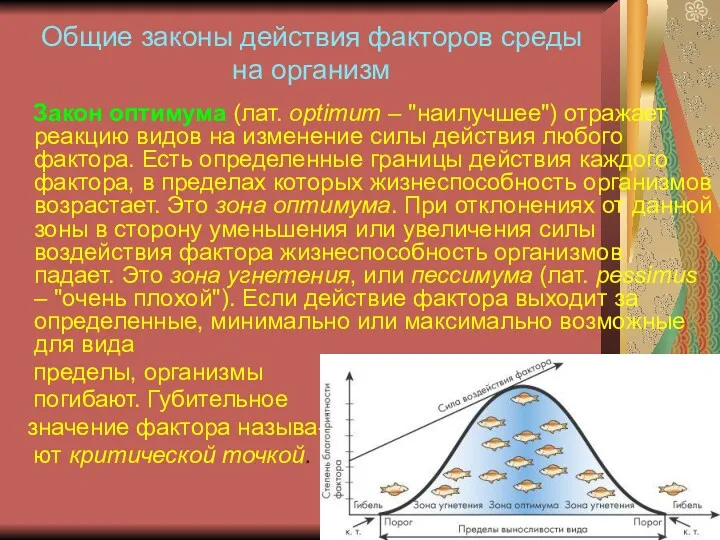 Общие законы действия факторов среды на организм Закон оптимума (лат.