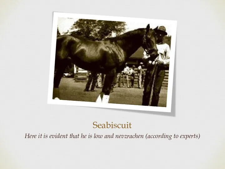 Seabiscuit Here it is evident that he is low and nevzrachen (according to experts)