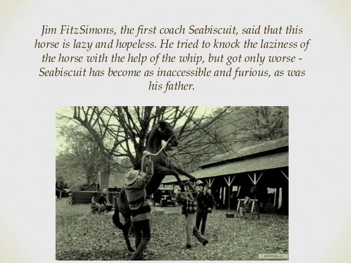 Jim FitzSimons, the first coach Seabiscuit, said that this horse