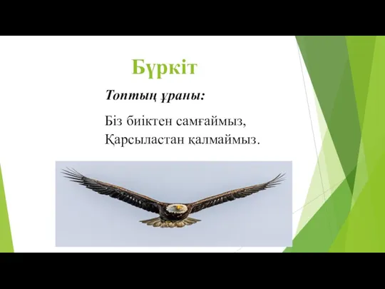 Бүркіт Топтың ұраны: Біз биіктен самғаймыз, Қарсыластан қалмаймыз.