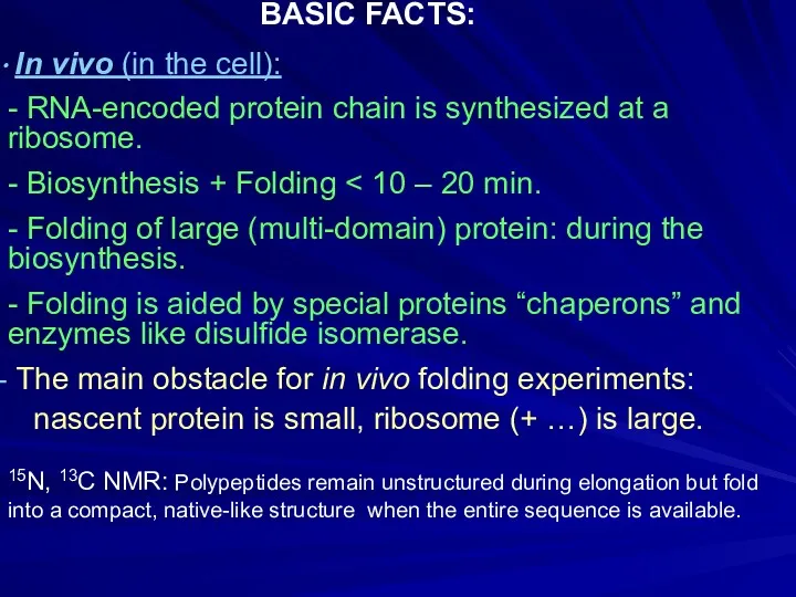 In vivo (in the cell): - RNA-encoded protein chain is