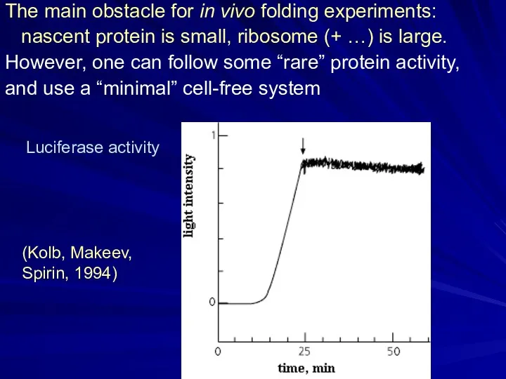 The main obstacle for in vivo folding experiments: nascent protein