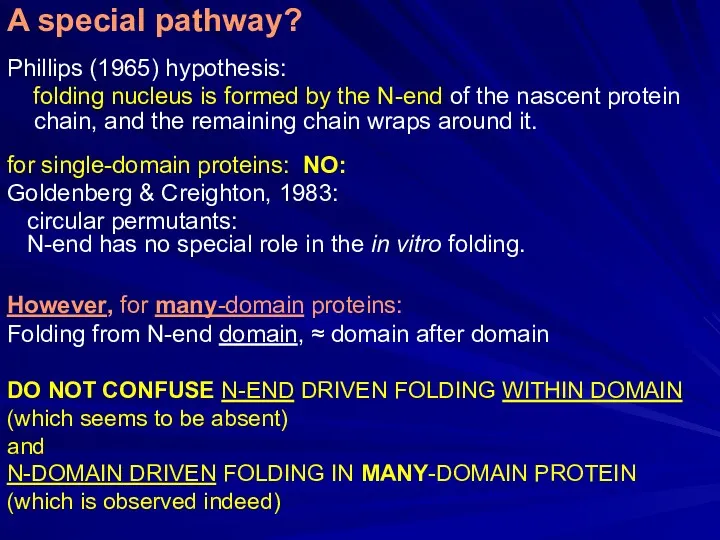 Phillips (1965) hypothesis: folding nucleus is formed by the N-end