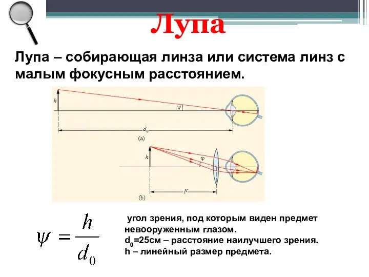 Лупа Лупа – собирающая линза или система линз с малым