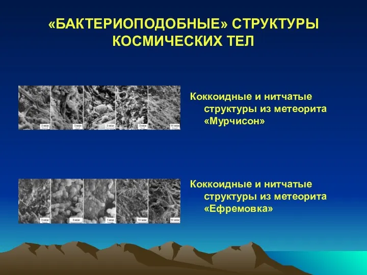 «БАКТЕРИОПОДОБНЫЕ» СТРУКТУРЫ КОСМИЧЕСКИХ ТЕЛ Коккоидные и нитчатые структуры из метеорита