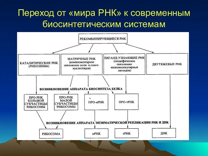 Переход от «мира РНК» к современным биосинтетическим системам