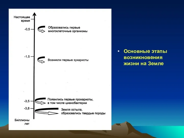 Основные этапы возникновения жизни на Земле