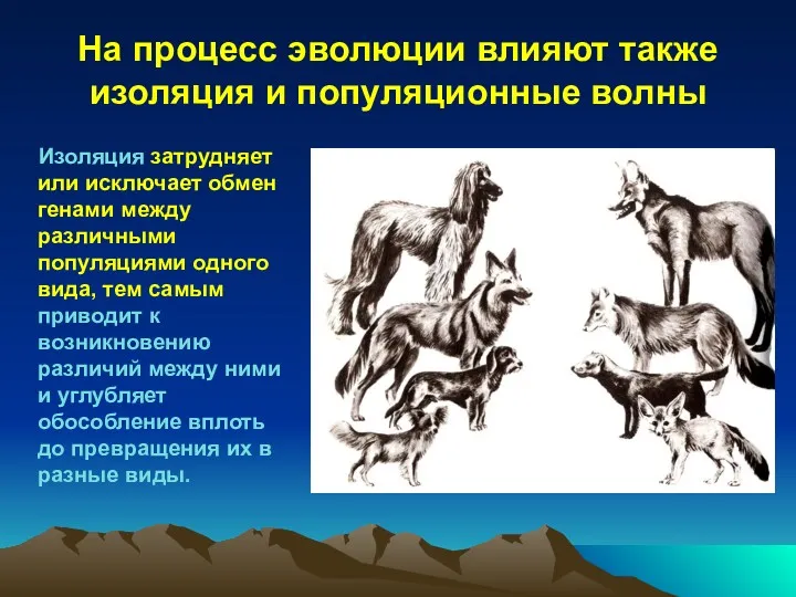 На процесс эволюции влияют также изоляция и популяционные волны Изоляция