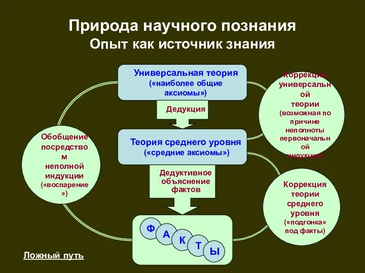 Природа научного познания Опыт как источник знания Универсальная теория («наиболее