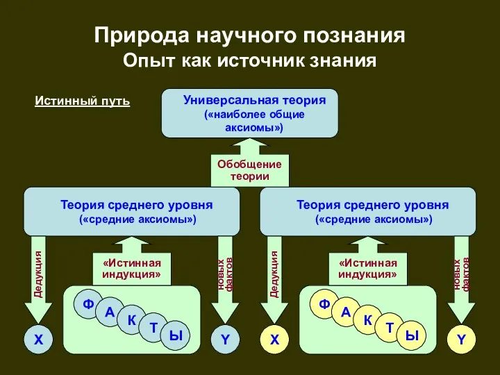 Природа научного познания Опыт как источник знания Универсальная теория («наиболее