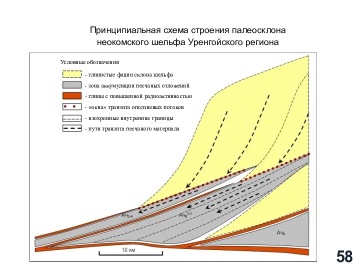 Принципиальная схема строения палеосклона неокомского шельфа Уренгойского региона - глинистые