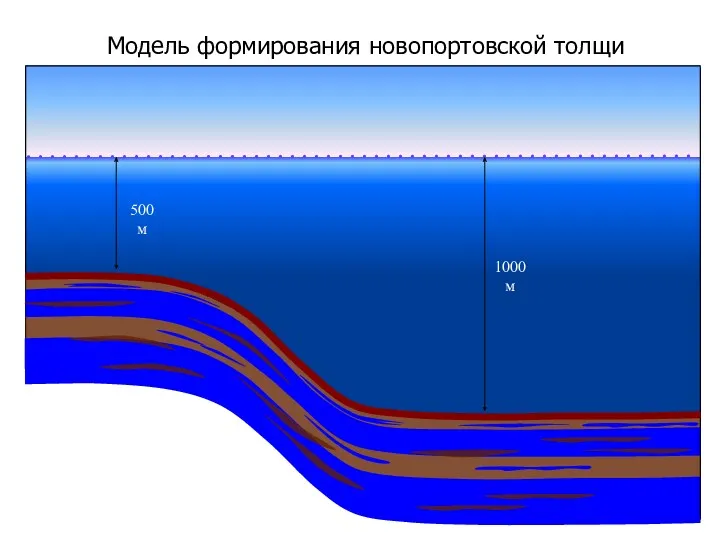 Модель формирования новопортовской толщи 1000 м 500 м