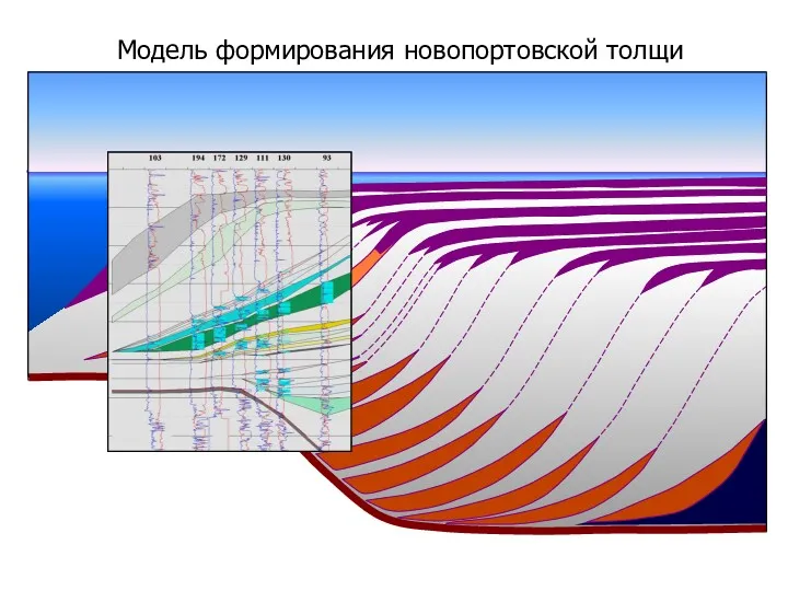 Модель формирования новопортовской толщи