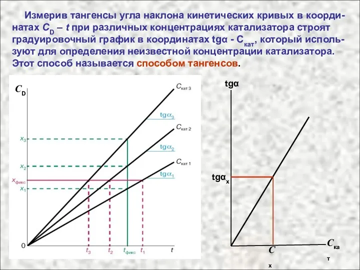 Измерив тангенсы угла наклона кинетических кривых в коорди-натах CD –