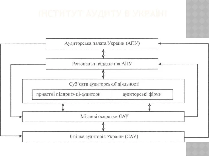 ІНСТИТУТ АУДИТУ В УКРАЇНІ