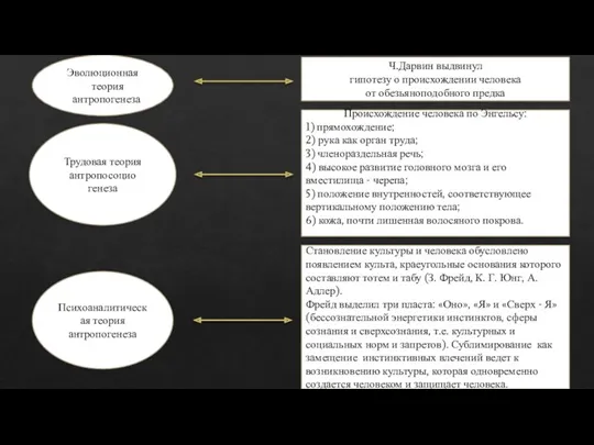 Эволюционная теория антропогенеза Трудовая теория антропосоцио генеза Психоаналитическая теория антропогенеза