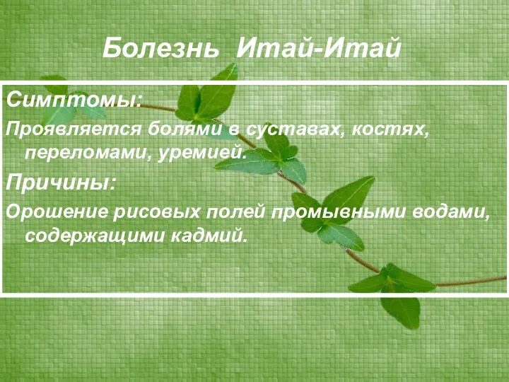 Болезнь Итай-Итай Симптомы: Проявляется болями в суставах, костях, переломами, уремией.