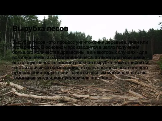 Вырубка лесов Вырубка лесов - это процесс уничтожения деревьев, лиан или кустарников. В